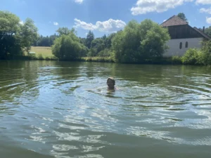 Besuch und Reisen - 03
