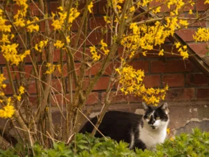 Besuch und Reisen - 06